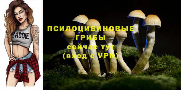 соль курить ск Алексин