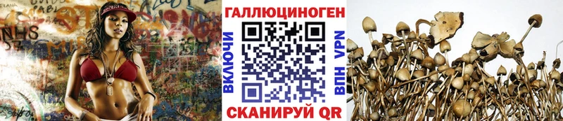 Галлюциногенные грибы Psilocybine cubensis  Кыштым 